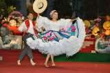 Municipios ocupación UCI del 85% no deben realizar ferias ni fiestas tradicionales