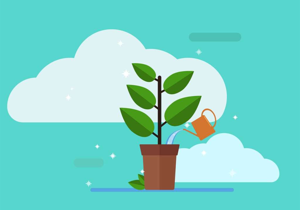 Ilustración de una planta siendo regada.