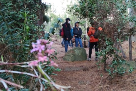 Acueducto anuncia reapertura de sendero Santa Ana–La Aguadora en los cerros orientales