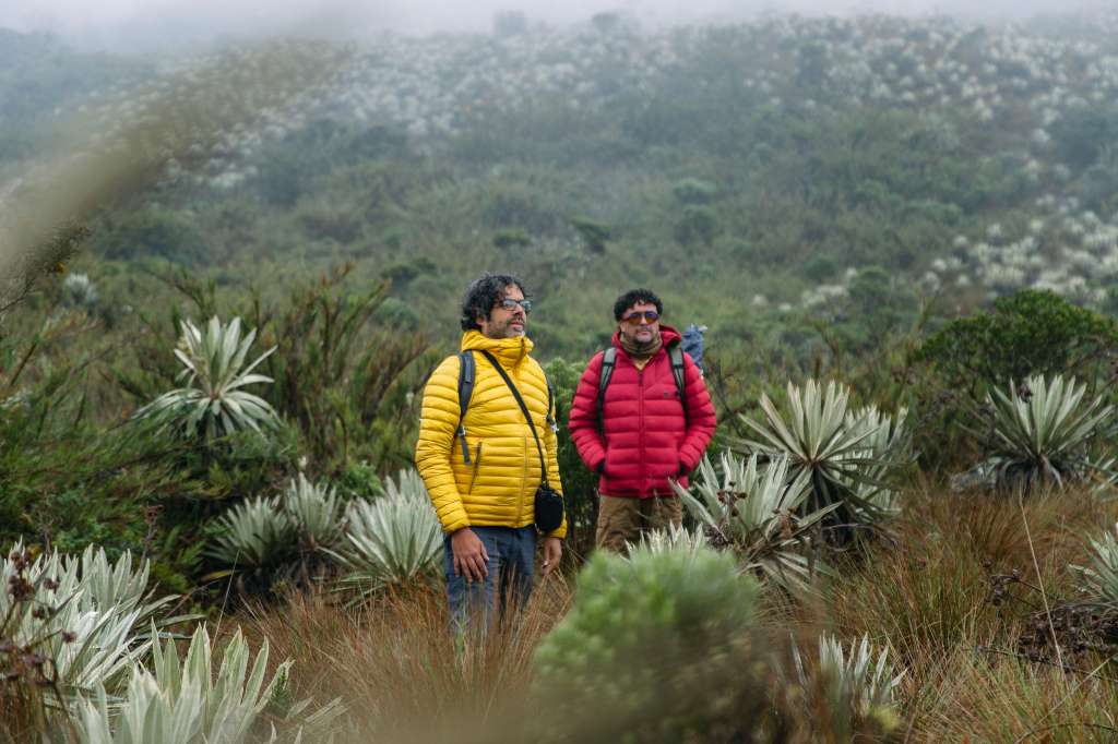 Colombia alberga alrededor del 50 % de extensión de páramos en el mundo.