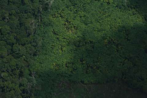 La declaración por la Amazonia que impulsa un grupo de congresistas