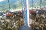 Tensión en Argelia (Cauca) por muerte de campesino