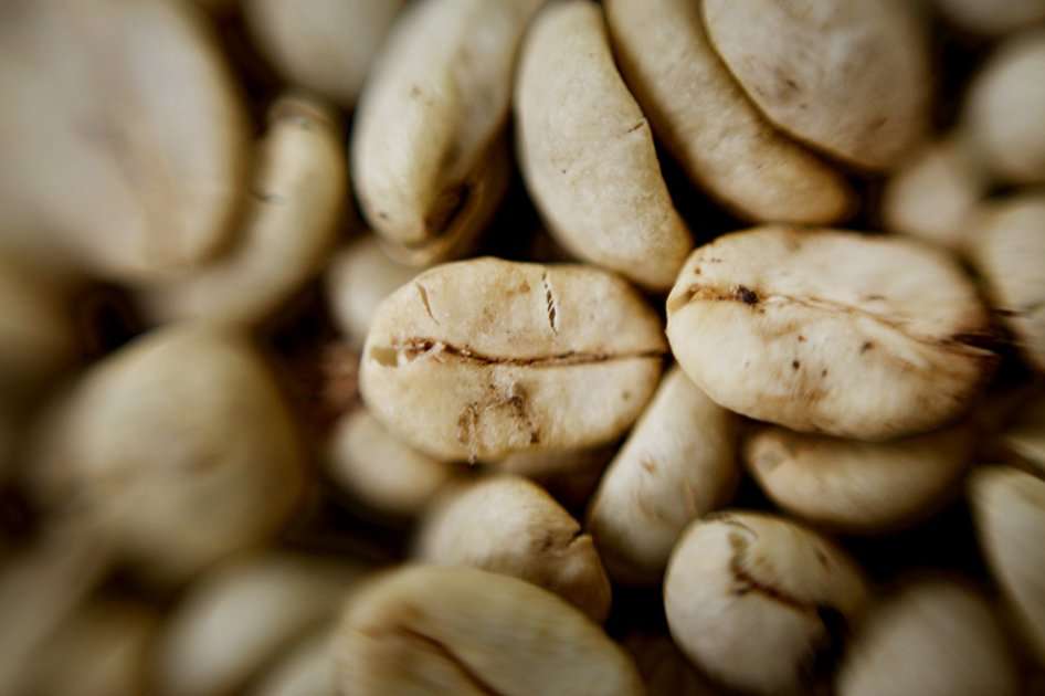 La producción de café en 2015 se prevé en 13,7 millones de sacos. / Bloomberg