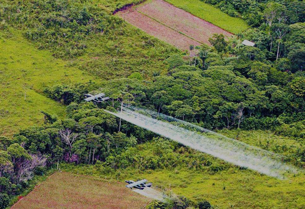 En Colombia, la aspersión se utilizó durante 20 años en casi dos millones de hectáreas. / EFE