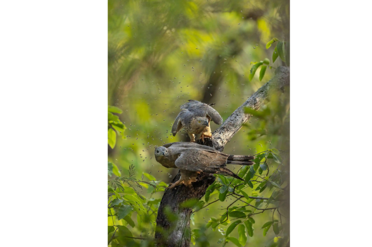 Ganador categoría "Fotógrafo juvenil"