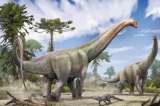 Hallan nueva especie de dinosaurio de 120 millones de años que conecta Suramérica y Europa
