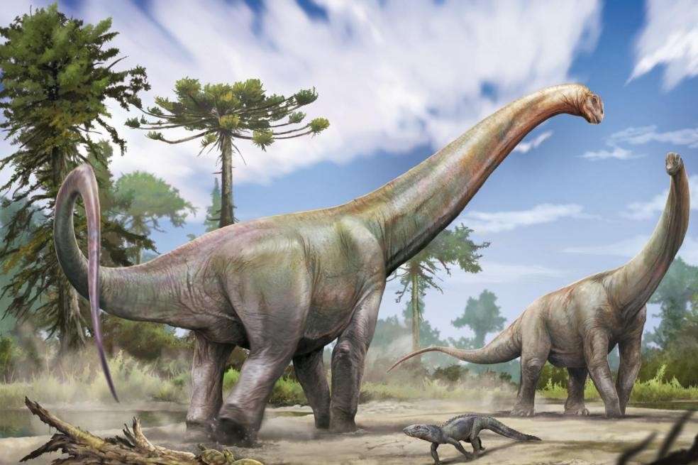Reconstrucción artística de Dasosaurus tocantinensis (arte gráfico: Jorge Blanco).