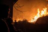 Incendio forestal entre Boyacá y Casanare arrasó con 800 hectáreas de vegetación