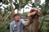 La ONU requiere financiamiento para enfrentar los impactos de La Niña