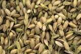 Los precios agrícolas suben tras brote de optimismo sobre la guerra comercial