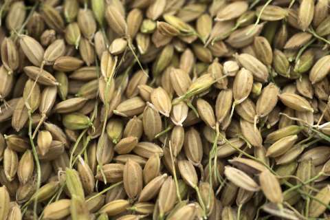Los precios agrícolas suben tras brote de optimismo sobre la guerra comercial