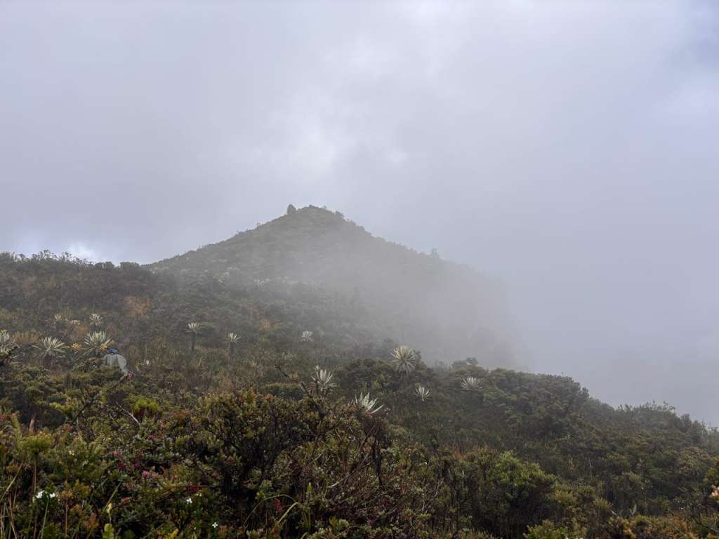 Páramo de Guatanfur