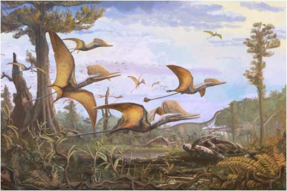 Reconstrucción de Ceoptera evansae.