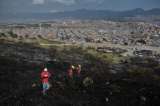 Avanza restauración del cerro El Cable con siembra de 1.400 árboles nativos