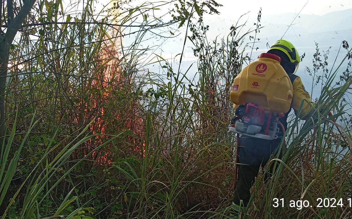 Durante los últimos días se han presentado más de 40 incendios forestales en el departamento de Huila.