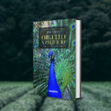 Orgullo y prejuicio, de Jane Austen, una novela disruptiva para el siglo XIX
