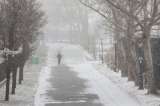 Nueva York limita servicio de metro y trenes suburbanos por tormenta de nieve
