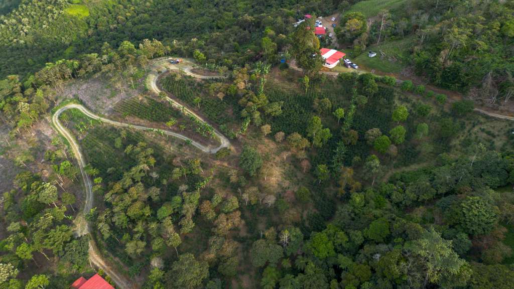 La finca Trópicos, frutos de la esperanza está en Yotoco, Valle del Cauca.
