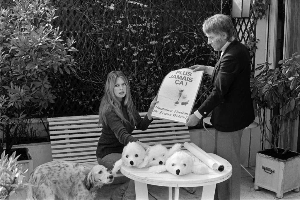 (FILES) French actress Brigitte Bardot (L) and Swiss ecologist Franz Weber prepare a campaign against seal-hunting in Paris on March 3, 1977.