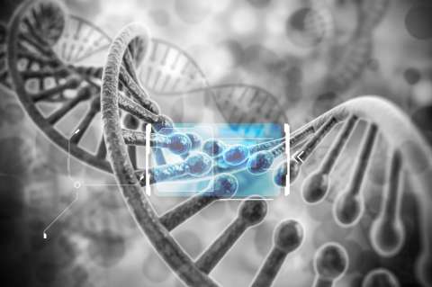Encuentran virus de 41.000 años de antigüedad congelados en el hielo