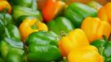 Receta: pechuga en salsa de pimentones