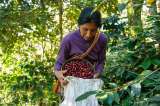 La desigualdad persiste para las mujeres campesinas en Colombia: Defensoría