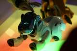 Perros-robots, droides bailarines y autómatas parlanchines llegan a Madrid