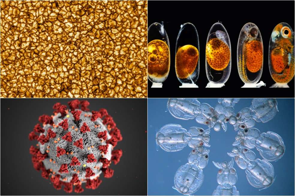 Fotos ciencia 2020