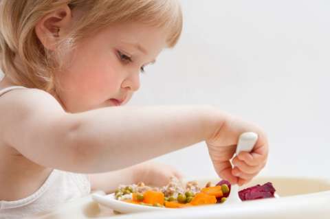 Los alimentos que debe consumir su hijo según cada etapa