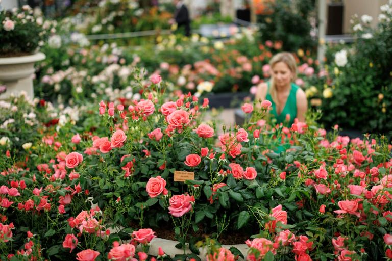 ¿Árboles que hablan?: el jardín que usa  IA para gestionar espacios verdes