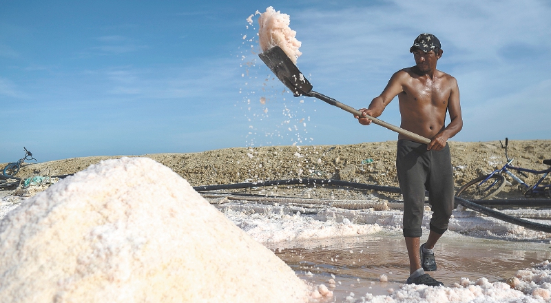 Anuncian millonarias inversiones para recuperar las Salinas de Manaure.