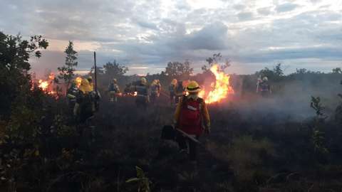 Se reactivan incendios en el Parque Nacional El Tuparro, en Vichada