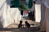 Canciller Murillo reveló el plan para atender en Colombia a niños heridos en Gaza
