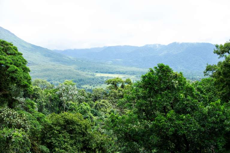 MISTICO PARK Y SUS PUETES COLGANTES COSTA RICA
