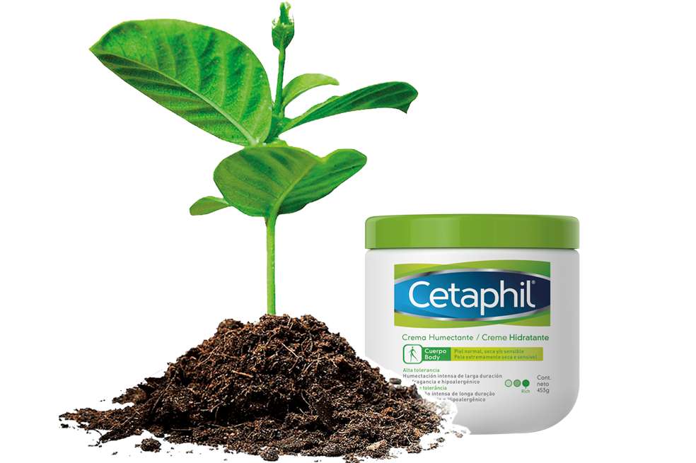 Ayudemos a los bosques con Cetaphil