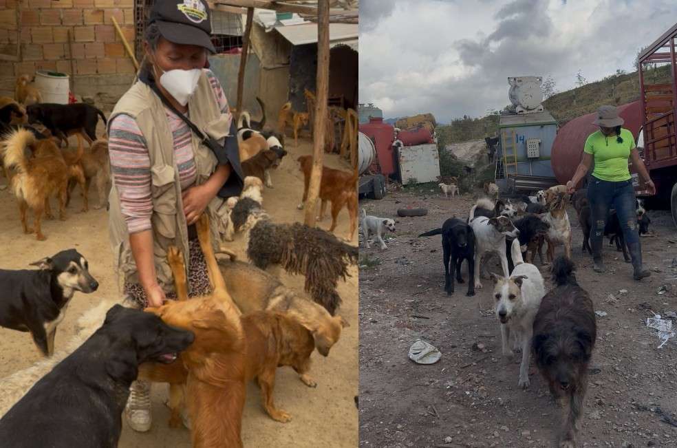 Los interesados en sumarse al voluntariado o en realizar donaciones de alimento, ropa y elementos de apoyo para las rescatistas pueden comunicarse al número 3185910396.