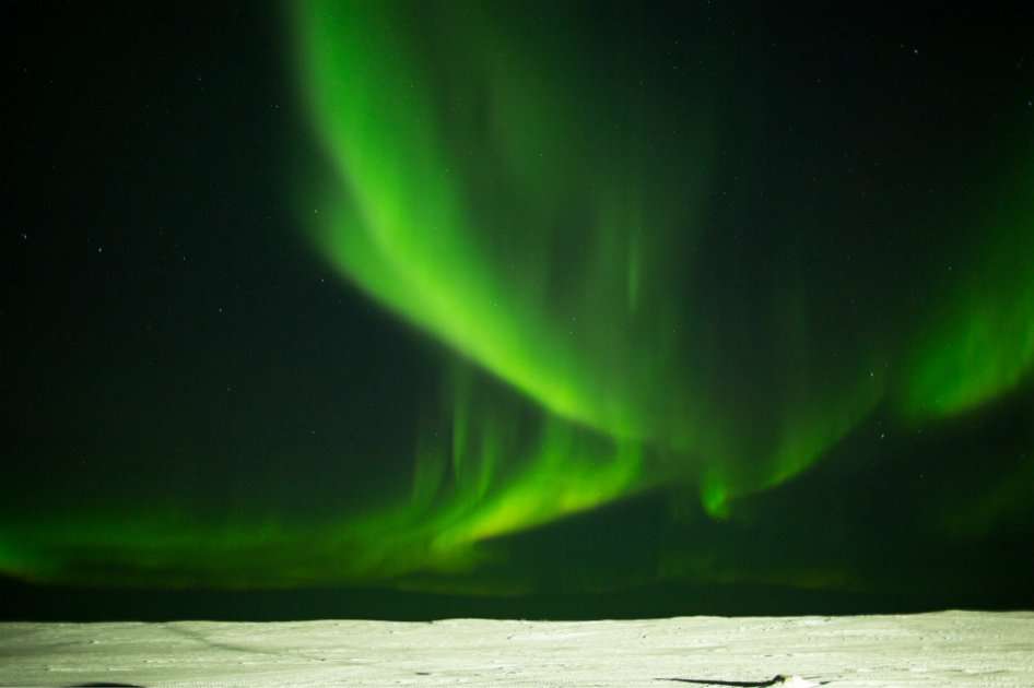 Wikimedia - creative commons