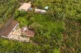 Costal Campesino, el café de exportación fruto de la unión de exFARC y labriegos