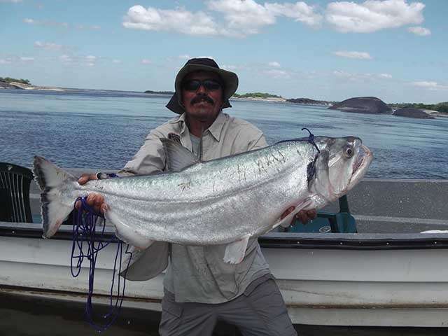 Pesca en el río Bita.