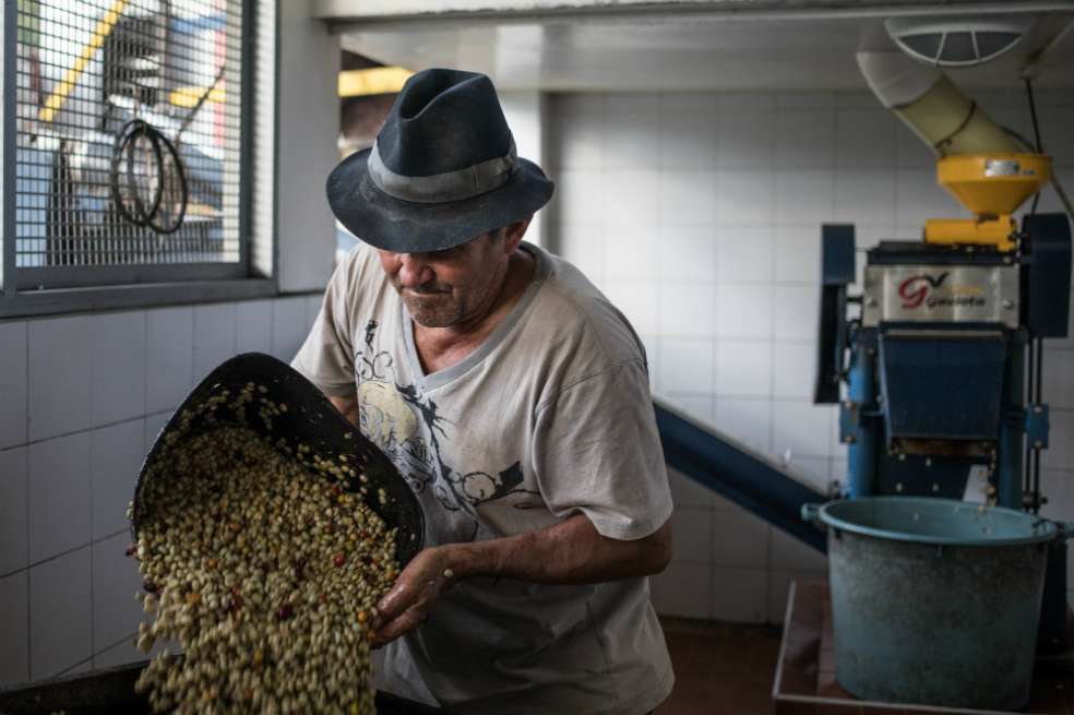 La proyección de producción para 2018 oscila entre 13,5 millones y 14 millones de sacos. / Bloomberg