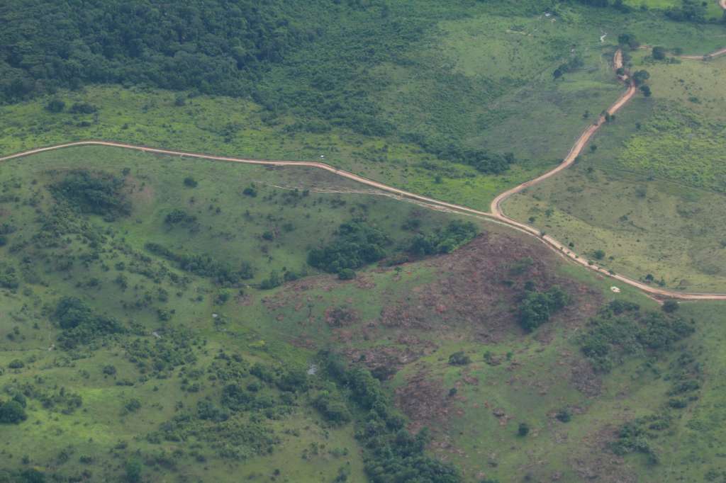 Carretera en área protegida de la Serranía la Macarena. Un patrón típico de deforestación en todo el mundo, de acuerdo con Roberto Gómez, es que alrededor de las vías, se construyen accesos.