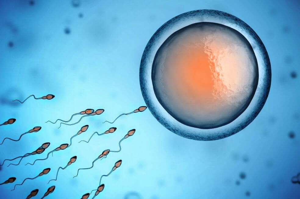 Inventan un método sencillo para elegir el sexo de un bebé