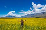 6 rutas naturales imperdibles en Argentina