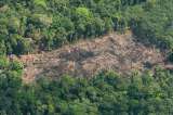 Cambio climático y pérdida de biodiversidad preocuparían a líderes en el mundo