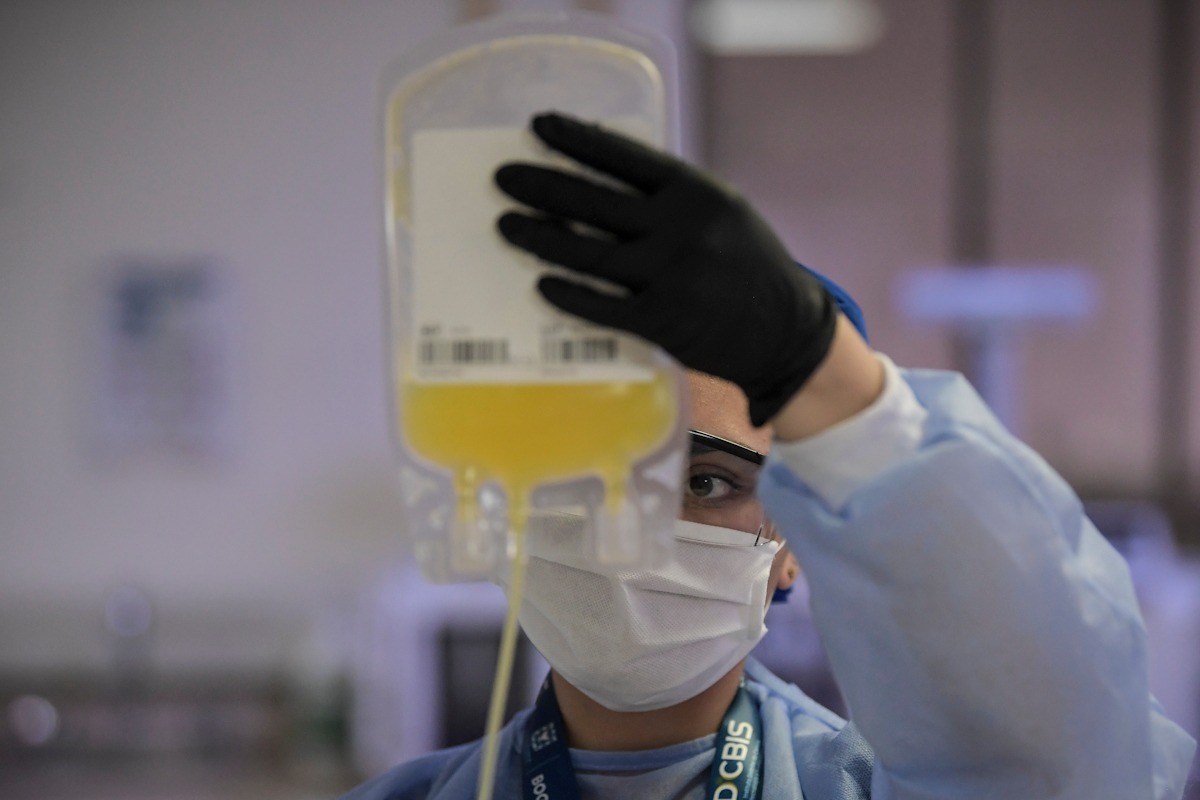 El plasma es un líquido que equivale al 55 % del volumen total de la sangre, en él se encuentran suspendidas las células sanguíneas: glóbulos rojos, glóbulos blancos y plaquetas.