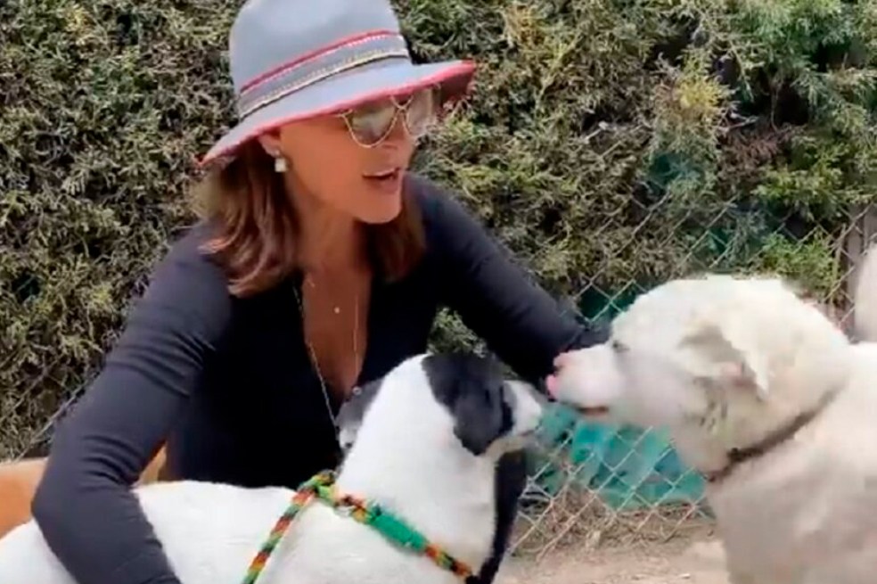 La diva de visita en la granja canina Dejando huella.