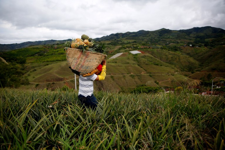Ecorestaurante colombiano impulsa con su propuesta a productores orgánicos