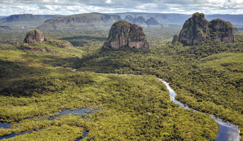 El Chiribiquete fue declarado Parque Nacional en 1989 y, aunque hace falta investigación, se sabe que alberga 708 especies de plantas únicas en el mundo.  / Cortesía PNN