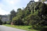 Zona verde en riesgo