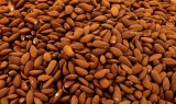 Seis alimentos que tienen proteína y no son carne